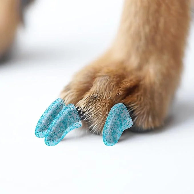 100pcs Dog Nail Caps Claw capsCover with Glue and Applicators (XXL: About. Weight: 40-70 pounds.) - Product Image