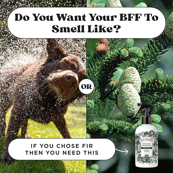 Pet-Pourri Dog Coat Deodorizing Spray – Plant Derived Ingredients – Vet Recommended – Fir + Amber + Cedarwood – Paraben & ...