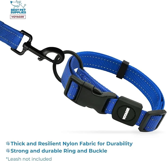 Best Pet Supplies Reflective Dog Collar with Adjustable Length, Heavy-Duty Buckle, and Strong Leash D-Ring, Training, Walk...