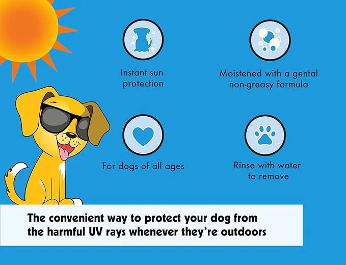 Petkin Dog Sunscreen Sunwipes - Sunscreen for Dogs, SPF 15 - Simply Wipe on Anytime for Instant Sun Protection - Includes ...