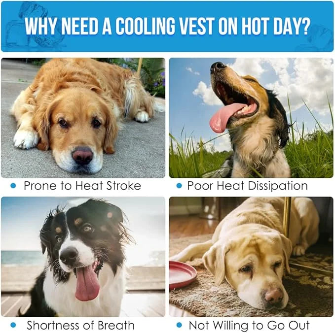 SlowTon Dog Cooling Vest - Cooling Shirt for Dogs, Evaporative Instant Cooling Vest Harness with Ice Pack Pocket, Lightwei...