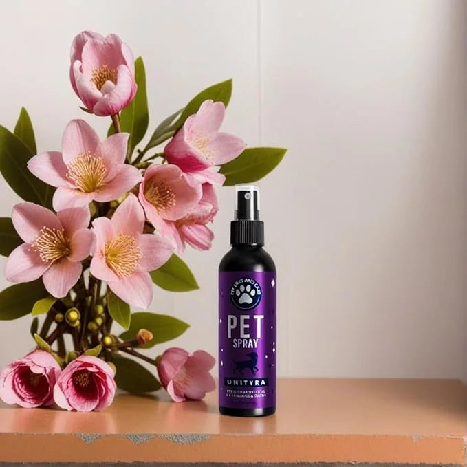 Pet Deodorizing Spray –Lavender Essential Oil | Odor Eliminator for Cats & Dogs, For All Ages, Sizes and Breeds| Safe for ...
