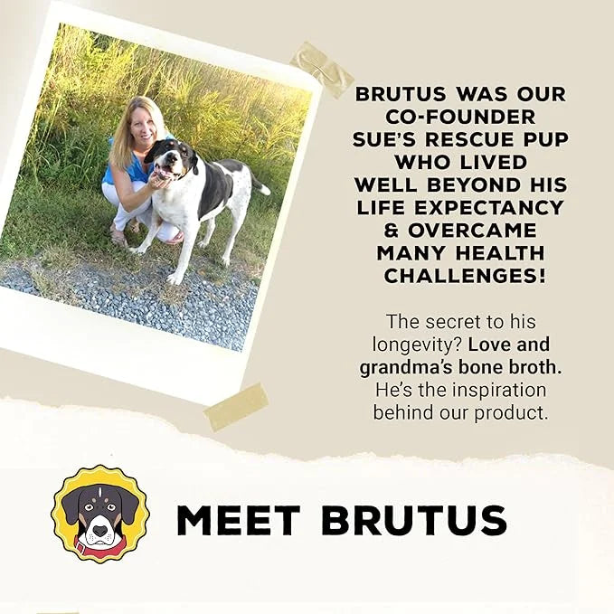 Brutus Broth Instant On The Go Vegetable Powder for Dogs - Vegetable Powder with Omegas 3, 6 & 9 & Turmeric - Human Grade ...