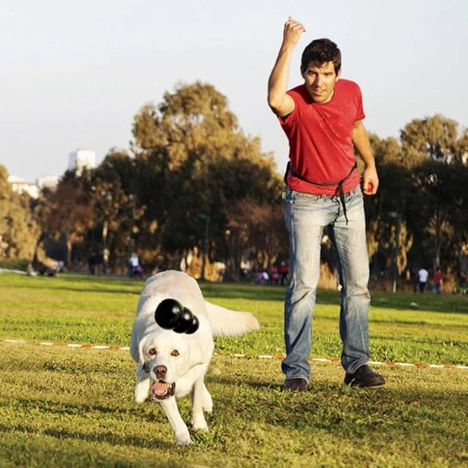 KONG Extreme Dog Toy - Fetch & Chew Toy - Treat-Filling Capabilities & Erratic Bounce for Extended Play Time Most Durable ...