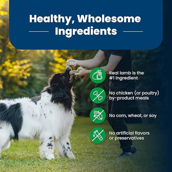 BLUE BUFFALO Life Protection Formula Adult Dry Dog Food, Helps Build and Maintain Strong Muscles, Made with Natural Ingred...