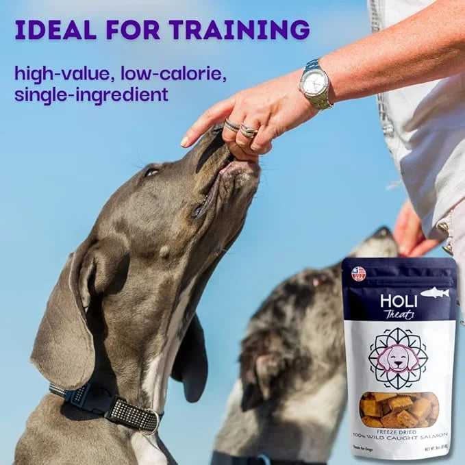 HOLI Freeze Dried Salmon Dog Treats - with Omega 3 and 6 Fish Oil - All Natural - Human Grade - Wild Caught Salmon with Sk...
