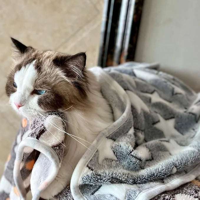 1 Pack 3 Puppy Blankets Cat Dog Blankets Super Soft Warm Sleep Mat Grey Star Cute Print Blanket Fluffy Fleece Pet Blanket ...