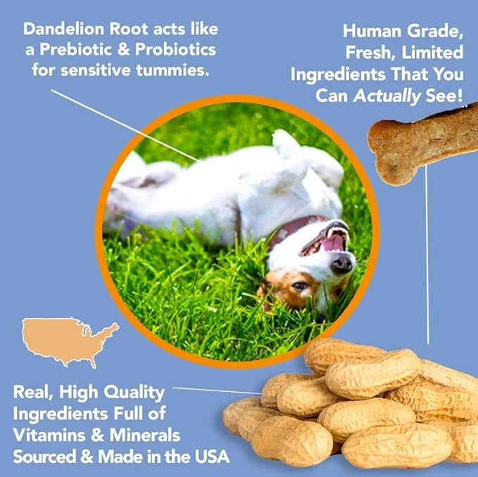 Marcy's Pet Kitchen- All Natural, Crunchy, Peanut Butter Dog Treats - Vet Approved- Homemade - Vegan, Gluten Free, Human G...