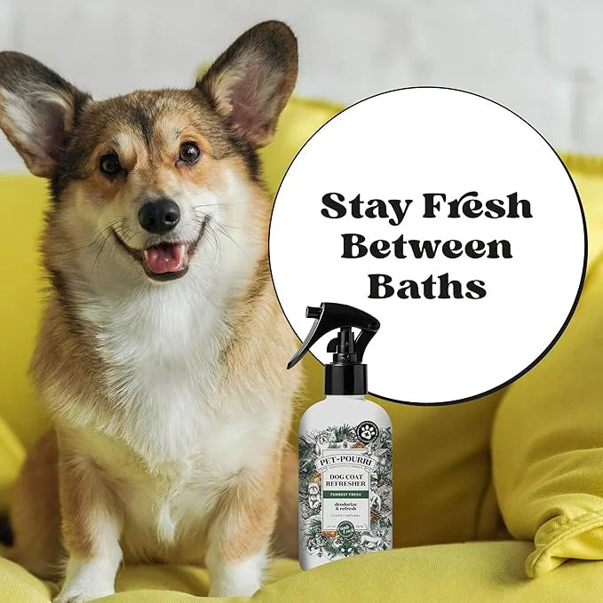 Pet-Pourri Dog Coat Deodorizing Spray – Plant Derived Ingredients – Vet Recommended – Fir + Amber + Cedarwood – Paraben & ...