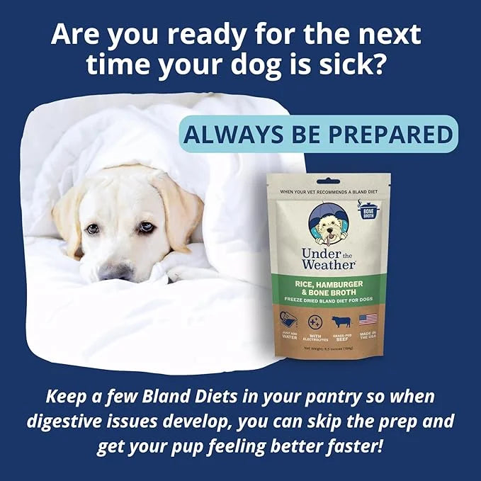 Under the Weather Bland Diet for Dogs | Easy to Digest for Sick Dogs | Always Be Ready | Contains Electrolytes - Natural F...