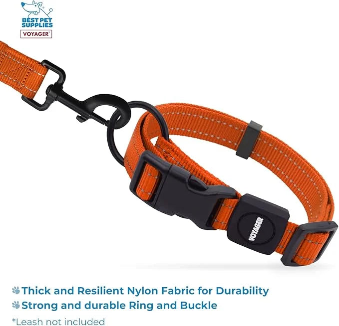 Best Pet Supplies Reflective Dog Collar with Adjustable Length, Heavy-Duty Buckle, and Strong Leash D-Ring, Training, Walk...