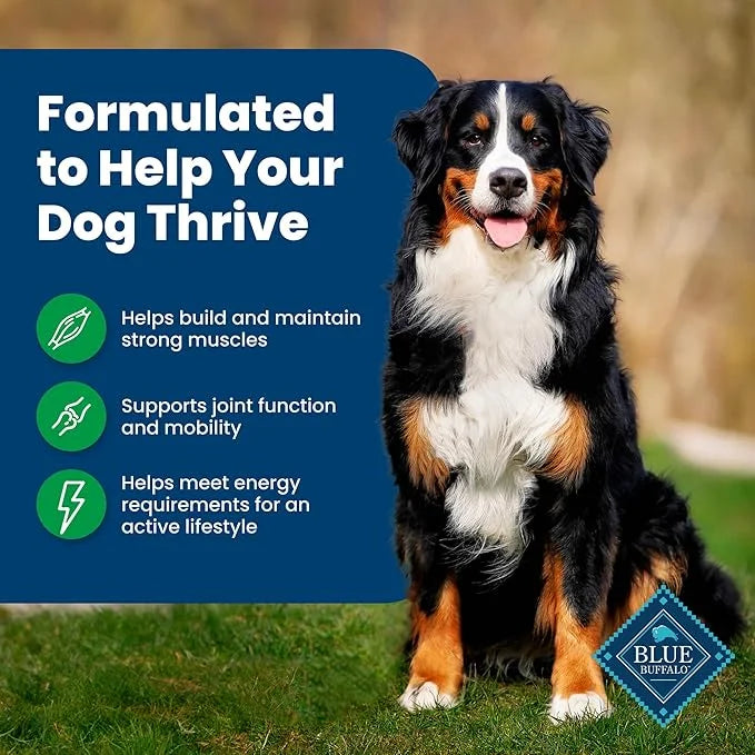 Blue Buffalo Life Protection Formula Adult Dry Dog Food, Helps Build and Maintain Strong Muscles, Made with Natural Ingred...