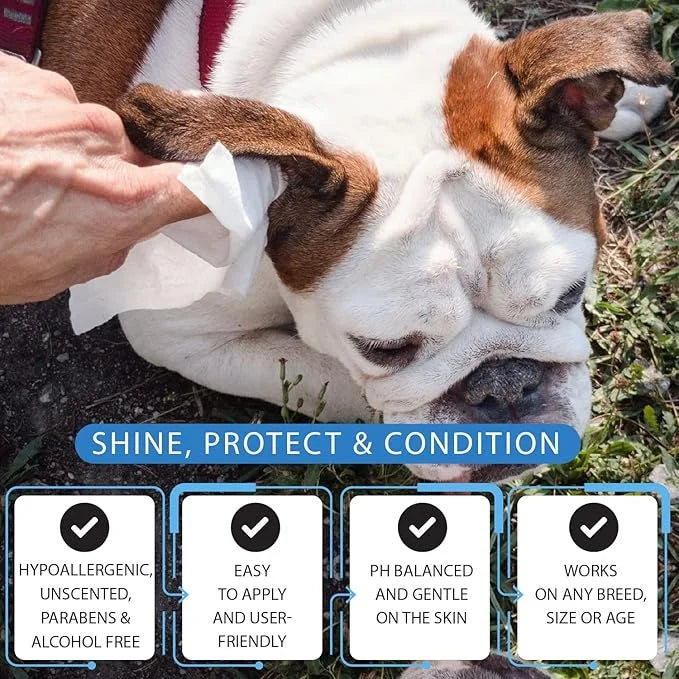 Dog Wipes for Dogs Cats, 200 Count All Purpose Cleaning Pet Wipes, Dog Ear Wipes, Quick Easy Grooming for Bums, Body, Paws...