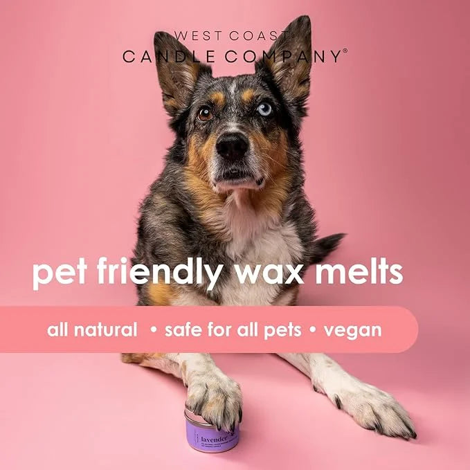 Pet Friendly Wax Melts | Pet Safe Wax Melts | All Natural Dog Safe Wax Melts | Non-Toxic Wax Melts | Pet Odor Eliminator |...
