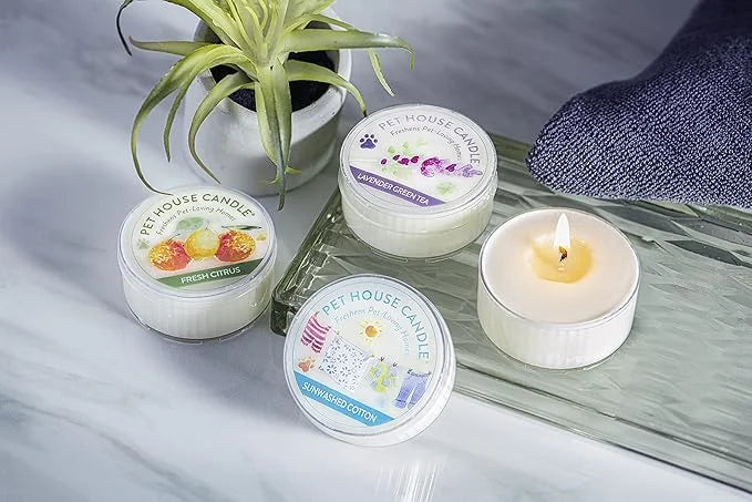 One Fur All Pet House Scents - Sunwashed Cotton 3 Pack Pet Odor Eliminator - Non-Toxic Scented Candle Set - Product Image
