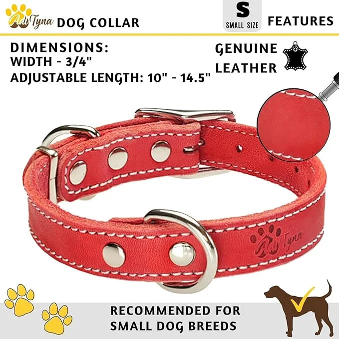 Heavy Duty Red Leather Dog Collar for Small Dogs- Soft and Strong Dog Collar for Puppy or Small Dogs (Small: Fit 10" - 14....