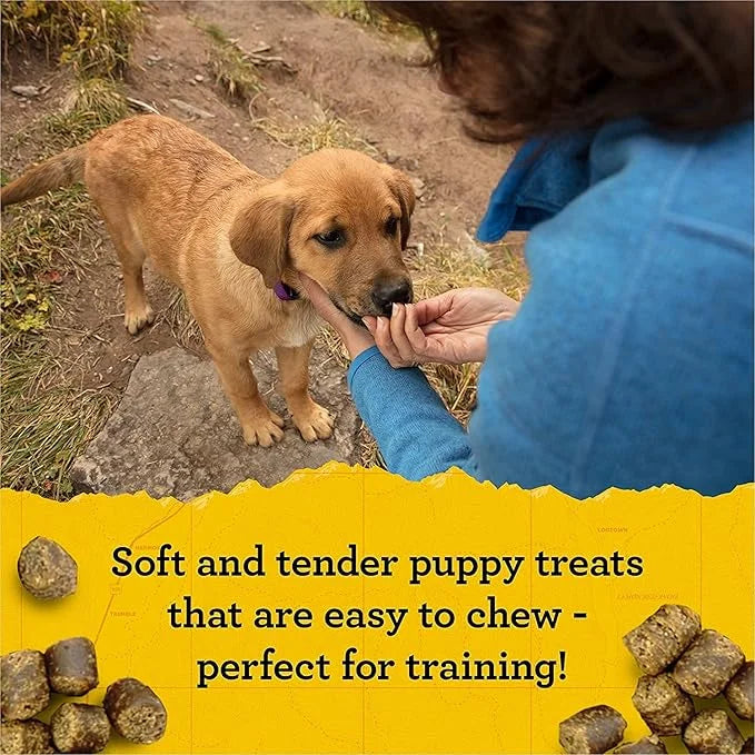 (4 Pack) Zuke Puppy Naturals Training Dog Treats Crafted in The USA, Salmon and Lamb 5oz with 10ct Pet Wipes 5 Piece Set -...