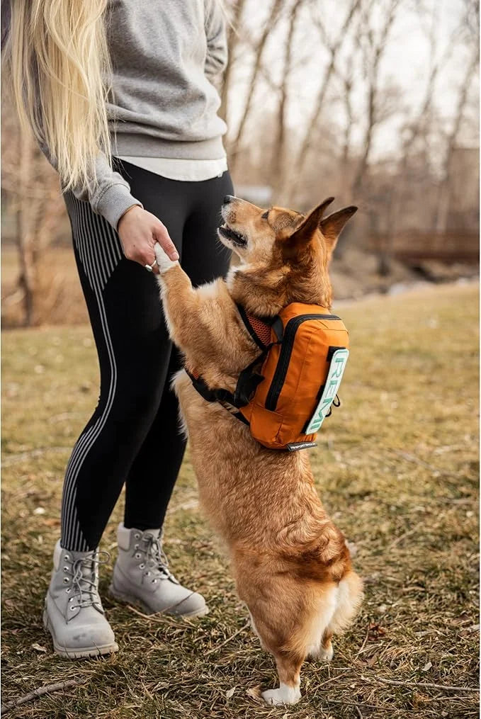 K9 Sport Sack Walk-On | Dog Carrier Dog Backpack with Harness & Storage (Small, Sunset Orange) - Product Image