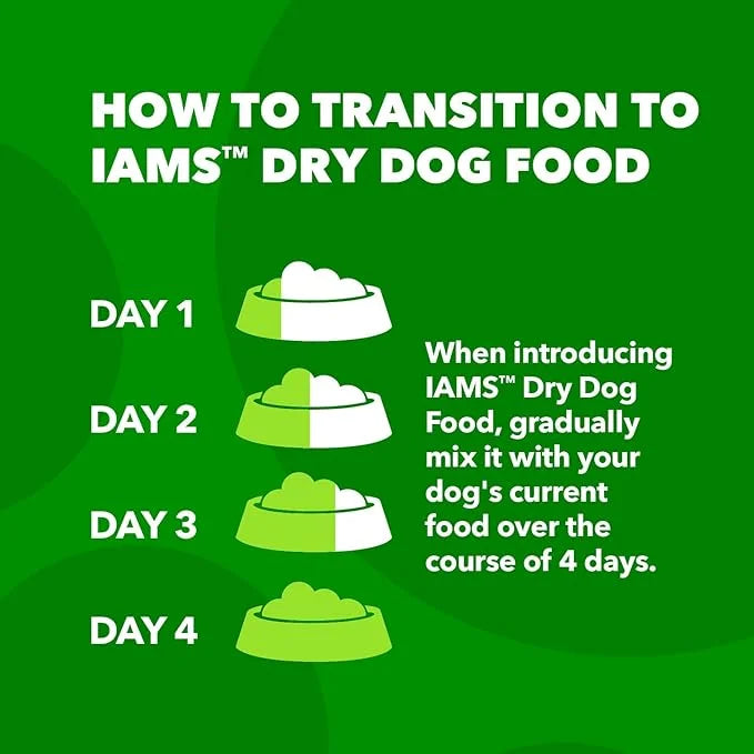 IAMS Minichunks Adult Dry Dog Food Lamb & Rice Recipe Dog Kibble, 30 lb. Bag - Product Image