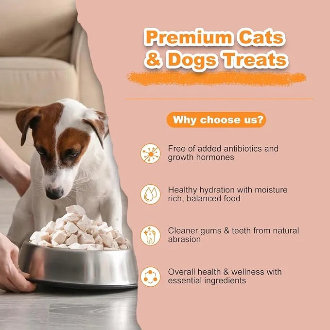 Freeze Dried Chicken Dog Treats - Raw Chicken Breast Cube High Protein Snacks for Training Healthy Limited Single Ingredie...
