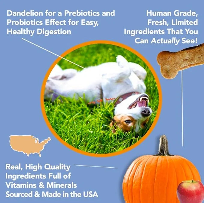 Marcy's Pet Kitchen- All Natural, Crunchy, Pumpkin Biscuit Dog Treats - Homemade - Crunchy Approved- Vegan, Gluten Free, H...