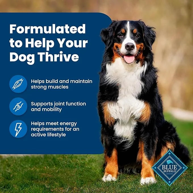 Blue Buffalo Life Protection Formula Adult Dry Dog Food, Helps Build and Maintain Strong Muscles, Made with Natural Ingred...