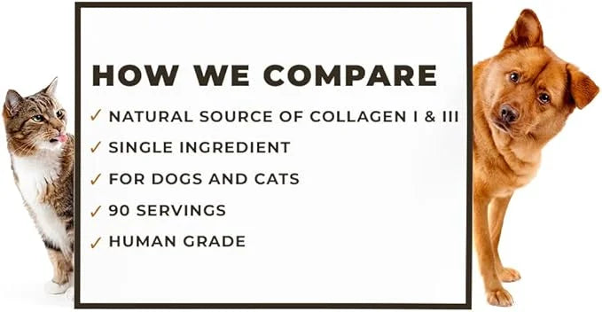 8oz Beef Bone Broth Powder for Dogs and Cats – Human Grade Grass-Fed Bone Broth for Picky Eaters – Supports Joints and Gut...
