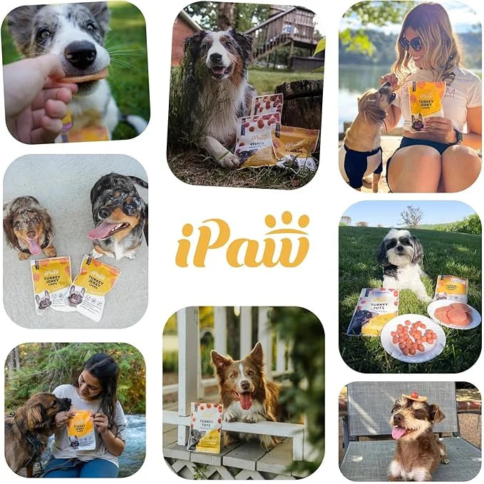 Dog Treats for Puppy Training, All Natural Human Grade Dog Treat, Hypoallergenic, Easy to Digest (Chicken Tots), 3 Packs -...