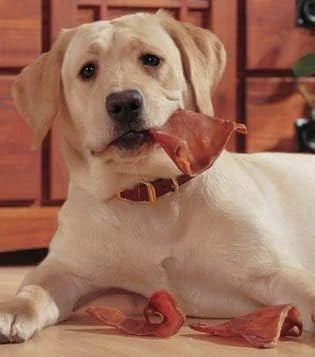 Healthy Pig Ear Chews for Dogs โ Brazilian Made High Protein Pigโs Ears Pet Treats โ Thick Cut, Oven Baked & Slow Cooked D...