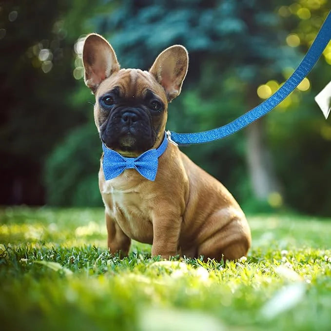 Bling Bow Tie Dog Collar and Leash Set, Cute Blue Boy Dog Collar with Bow and 5ft Leash for Small Medium Dogs Daily Walkin...