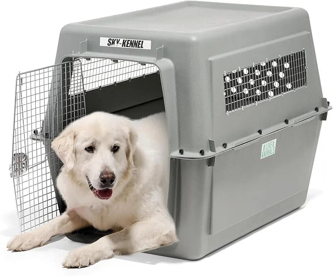 Petmate Sky Kennel - For Air and Travel, Airline Approved Dog Crate for Pets 90-125 lbs, Heavy Duty Dog Kennel, Made in th...