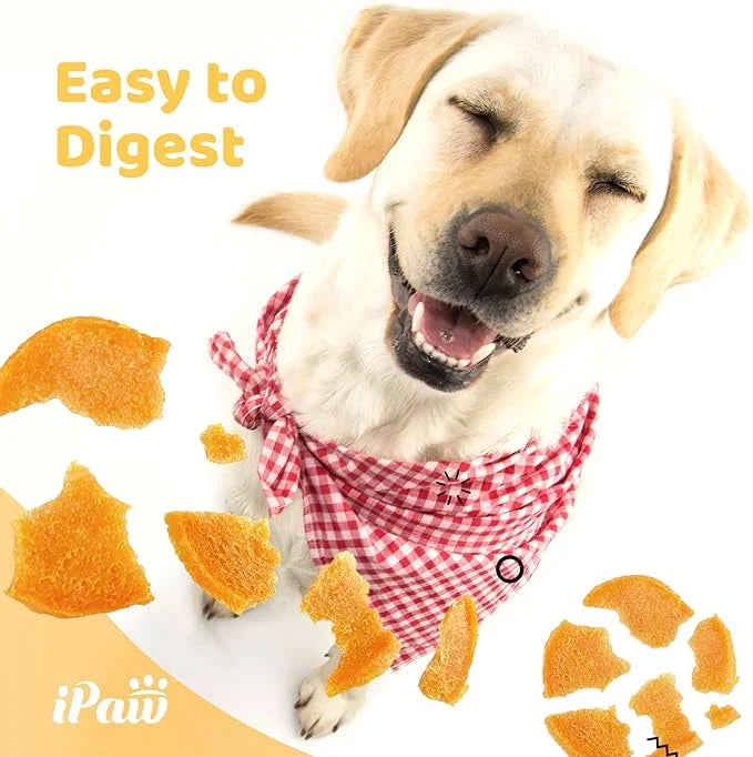 Dog Treats for Puppy Training, All Natural Human Grade Dog Treat, Hypoallergenic, Easy to Digest (Chicken Chips), 2 Packs ...