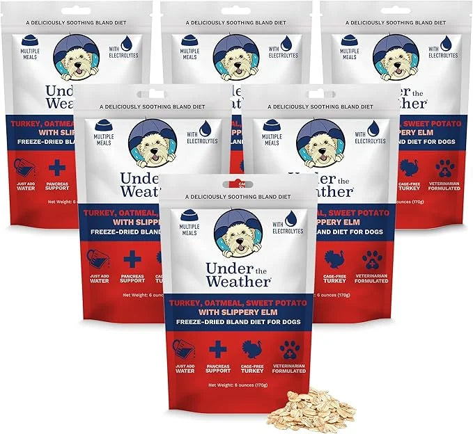Under the Weather Bland Diet for Dogs | Easy to Digest Stomach Support for Sick Dogs | Contains Electrolytes, All Natural ...