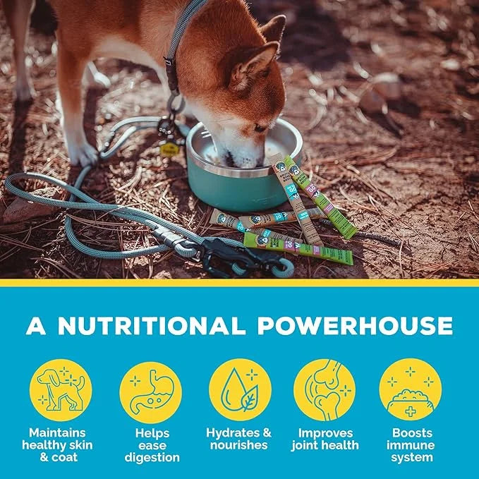 Brutus Bone Broth for Dogs - Bone Broth Powder with Chondroitin Glucosamine & Turmeric - Human Grade Dog Food Toppers for ...