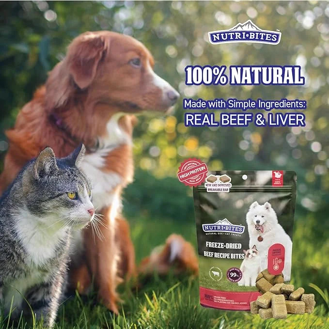 Nutri Bites Freeze Dried Beef Recipe Dog & Cat Treats, 9oz | Healthy Pet Training Treats or Food Topper | All Natural, Sin...