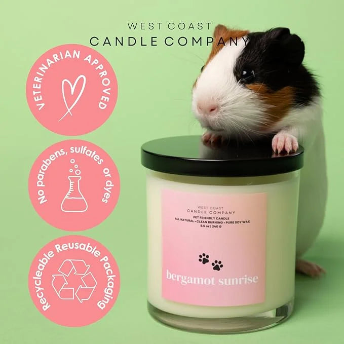 Pet Friendly Wax Melts | Pet Safe Wax Melts | All Natural Dog Safe Wax Melts | Non-Toxic Wax Melts | Pet Odor Eliminator |...
