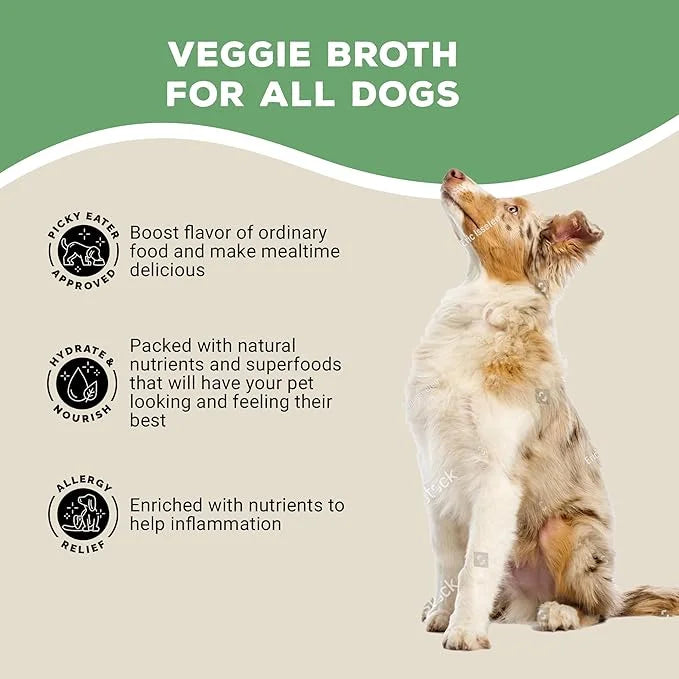 Brutus Broth Instant On The Go Vegetable Powder for Dogs - Vegetable Powder with Omegas 3, 6 & 9 & Turmeric - Human Grade ...
