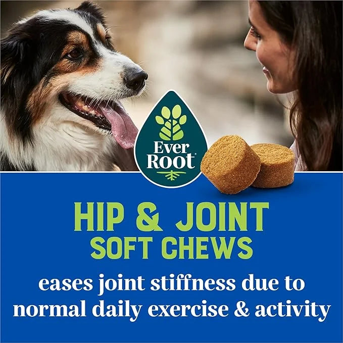 by Purina Hip and Joint Dog Supplements Soft Chews - 10.6 oz. Canister - Product Image