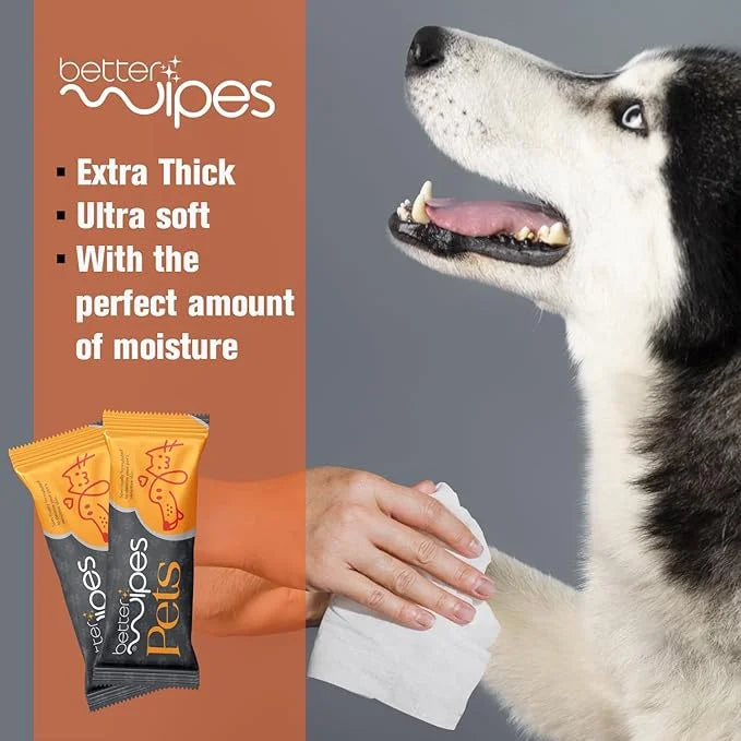 Pets - Extra Thick Pet Wipes for Dogs & Cats | Ultra Soft Dog Wipes for Paws, Face, Ears & Body | Hypoallergenic, Alcohol-...