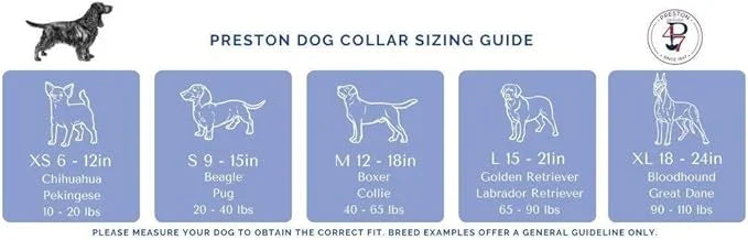 Heavy Duty Adjustable Dog Collar or Dog Leash - Ideal Dog Collars and Leashes Come in Multiple Sizes for All Pets. Preppy ...