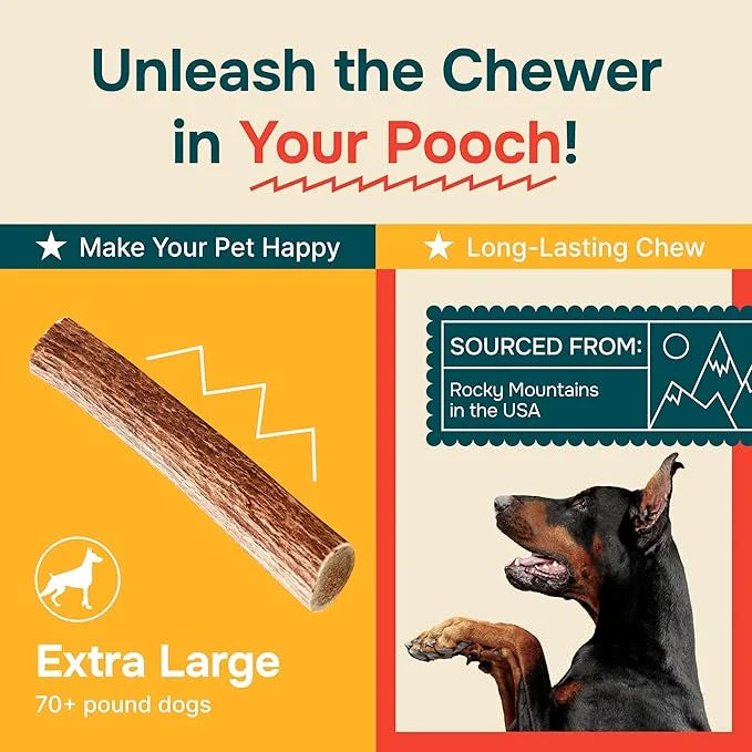 100% Natural - Antlers For Dogs - Elk Antlers for Very Large Dogs - Naturally Shed in USA - Grade A Dog Antler Chews - Dog...