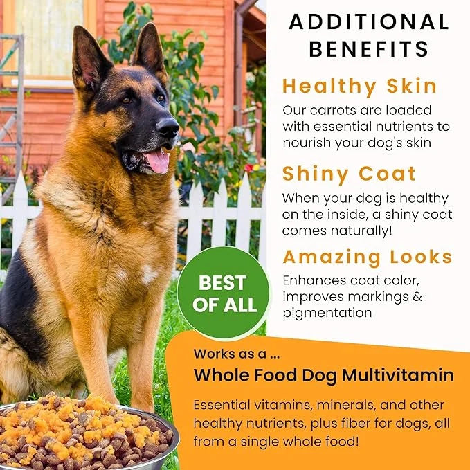 Olewo Original Carrots for Dogs – Fiber for Perfect Poop, Dehydrated Dog Food Toppers for Picky Eaters, Natural Skin & Coa...