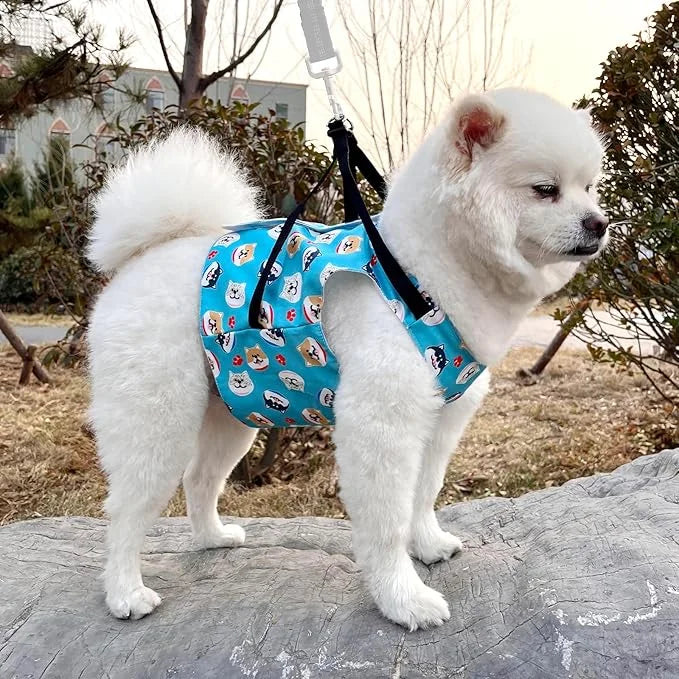 KUDES Dog Cooling Vest with Recyclable Ice Packs, Pet Adjustable Ice Chill Out Dog Harness Jacket Cooler with D Ring for S...