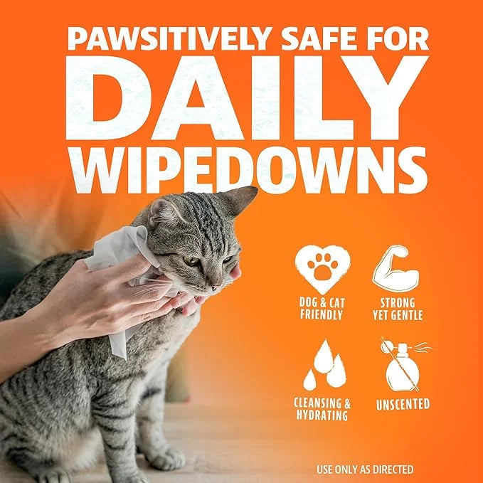 ANGRY ORANGE Pet Wipes for Dogs and Cats - Unscented and Gentle Grooming Wipes for Paws, Fur and Butt - 320 Count - Value ...