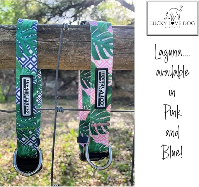 Lucky Love Dog Collar and Leash Set, Beautiful & Vivid Patterns, Easy On & Off Clasp Accessory (Blue Laguna, XS Combo) - P...