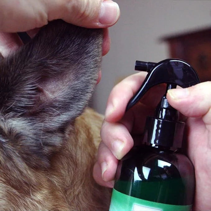 Silver Shield Dog & Bedding Spray | All Natural Colloidal Silver Dog Hygiene Spray - Product Image