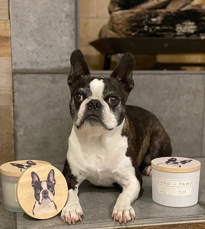 Sand + Paws Scented Candle - Tahitian Vanilla –Luxurious Air Freshening Jar Candles Neutralize pet Odors and Enhance Home ...