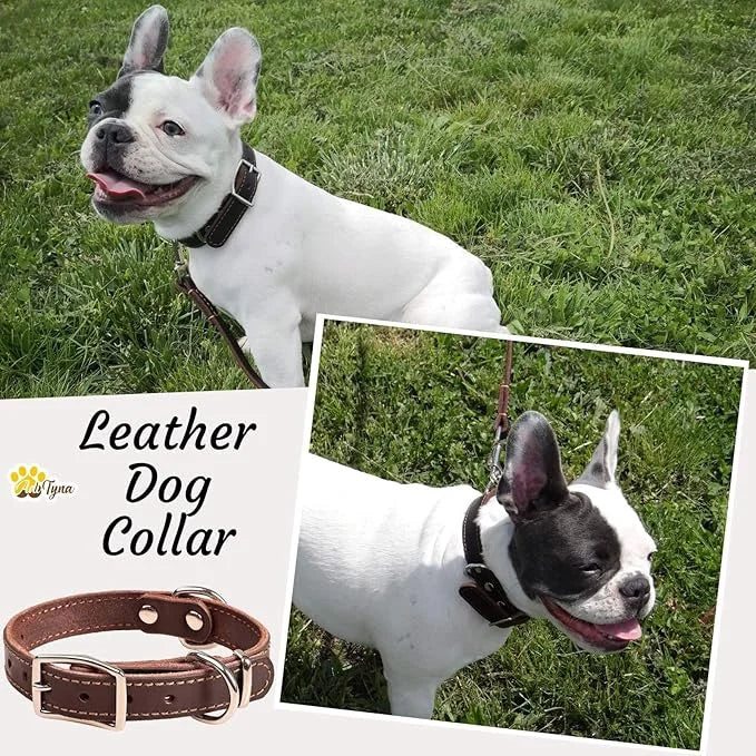 Heavy Duty Leather Dog Collar for Small Dogs - Soft and Strong Dog Collar for Puppy or Small Dogs (Small: Fit 10" - 14.5" ...