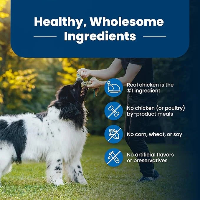 Blue Buffalo Life Protection Formula Adult Dry Dog Food, Helps Build and Maintain Strong Muscles, Made with Natural Ingred...
