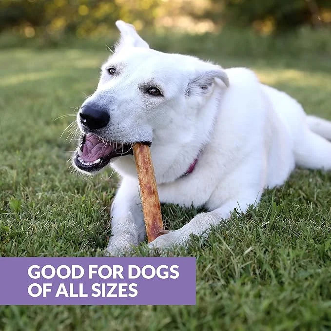 Collagen Chews for Dogs, Stick Dog Treat for Medium & Large Dogs (10" 3ct, Real Duck) - Dog Chews Long Lasting, Rawhide Fr...